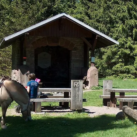 Ferienwohnung Trollmann *